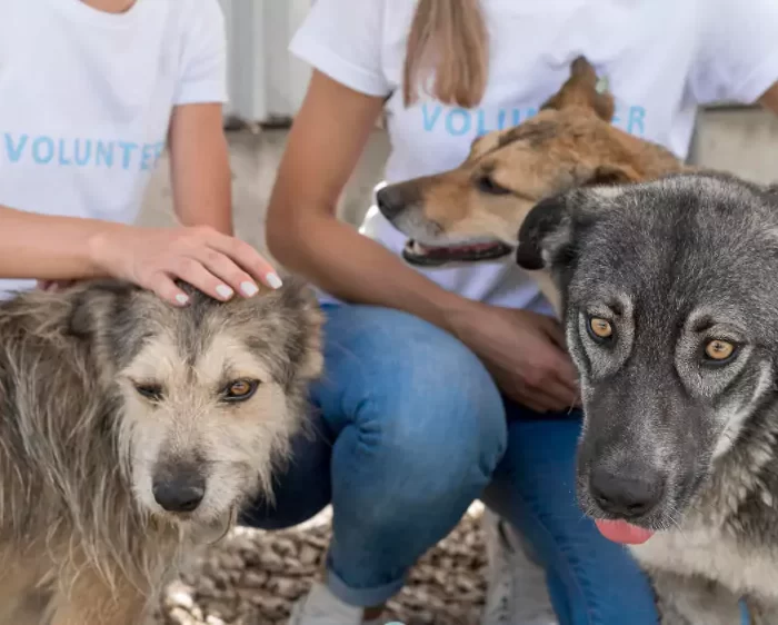 albania-dmc-charity-3-67c259bc446aa